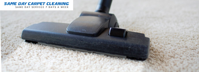 Professional Carpet Cleaning Services 