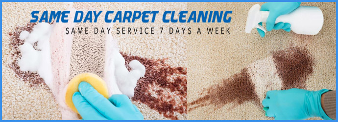 Carpet Stains Removal