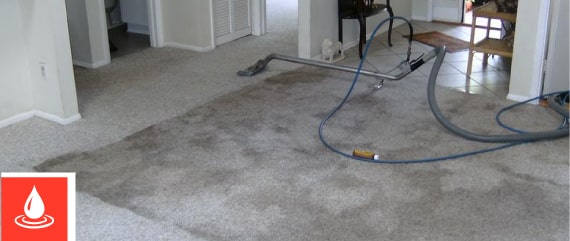 Carpet Water Extraction