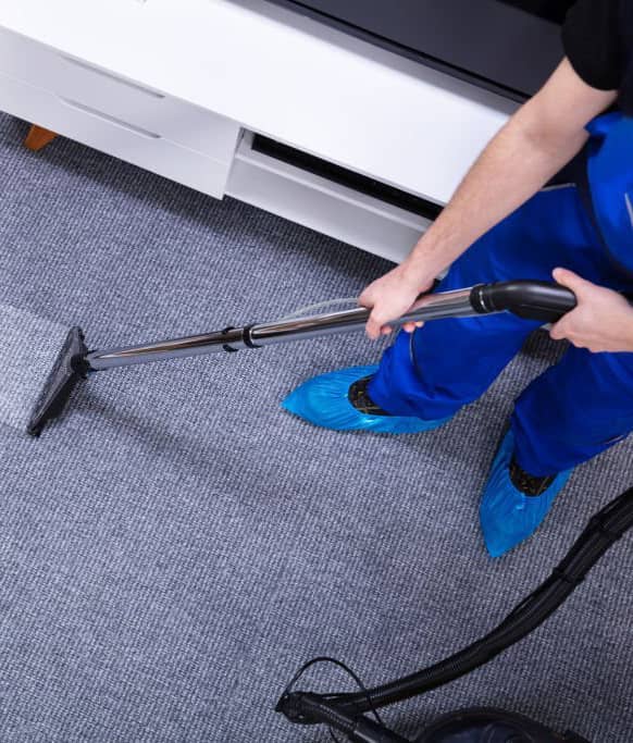 Importance of Carpet Mould Removal