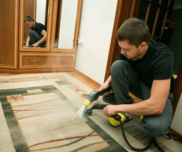 Same Day Carpet Mould Removal